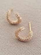 Curve Earrings