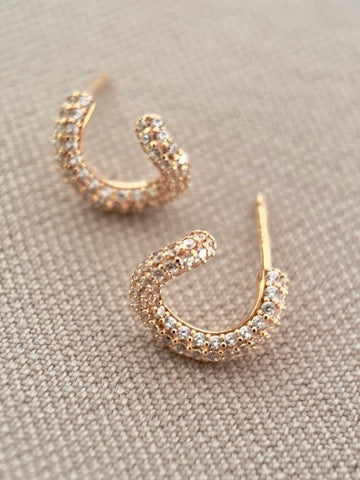 Curve Earrings